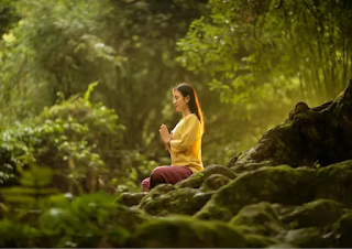 Can Forests Heal? The Science of Forest Bathing